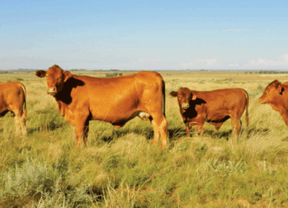 RMIS funds nine new research projects preparing the industry for 2030
