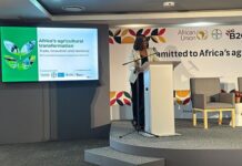 ‘Africa has only four harvests to change food security trajectory’ Debra-Mallowah