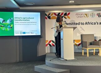 ‘Africa has only four harvests to change food security trajectory’ Debra-Mallowah