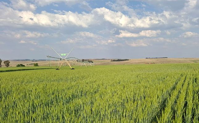 Artificial intelligence in practice in Kenya