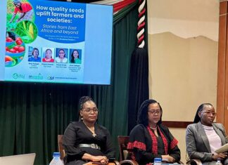Quality seeds drive sustainable agriculture in East Africa