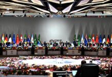 Agriculture needs G20 action to match commitments