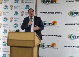 SA’s national herd to be vaccinated against FMD