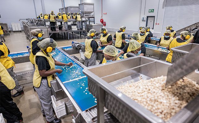 Trends that have shaped South Africa’s macadamia industry in 2025