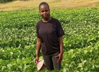Strategies needed to attract more African agri graduates to farming