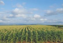 New roadmap to drive growth and transformation in agriculture
