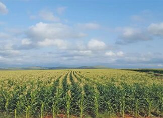 New roadmap to drive growth and transformation in agriculture