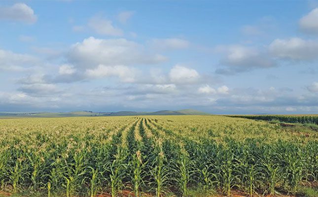 New roadmap to drive growth and transformation in agriculture