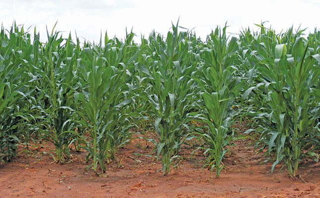 Zimbabwe compensates 85 Europeans who lost farms to land reform