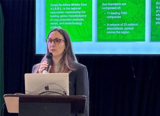 Major focus on combatting illicit and counterfeit products in Africa