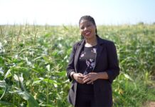 From chemistry to crop science: how a bursary led to new possibilities