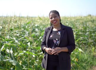 From chemistry to crop science: how a bursary led to new possibilities