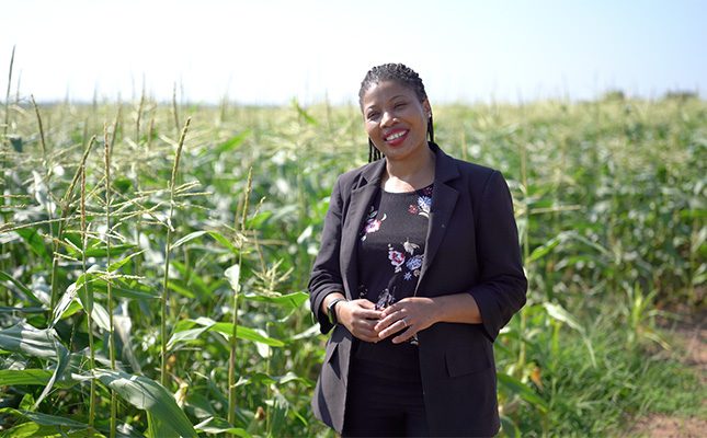 From chemistry to crop science: how a bursary led to new possibilities