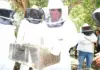 National beekeeping strategy moves forward as SA targets EU