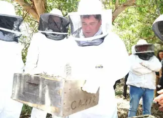National beekeeping strategy moves forward as SA targets EU