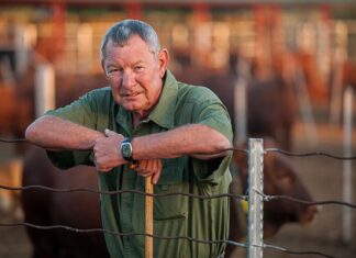 Nick Serfontein calls on Steenhuisen over FMD crisis