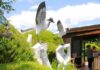 GastroTour promotes food and wine training
