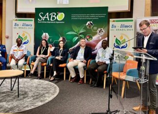 SA-Brazil alliance to drive growth in South Africa’s bioindustry
