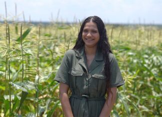 How a bursary turned a reluctant student into a plant science champion