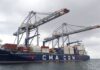 Shipping volatility and costs ease, but not for long