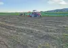 Veggie farmer proves success is possible on communal land Thulani Magida planting cabbage by tractor
