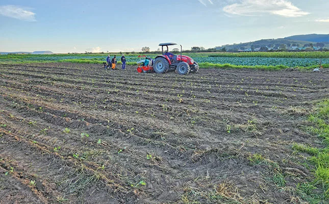 Veggie farmer proves success is possible on communal land