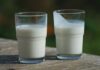 Milk flavour profiles: what makes one different from another?