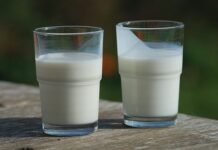 Milk flavour profiles: what makes one different from another?