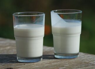 Milk flavour profiles: what makes one different from another?