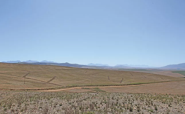 Opinion: we have underestimated a pillar of our economy