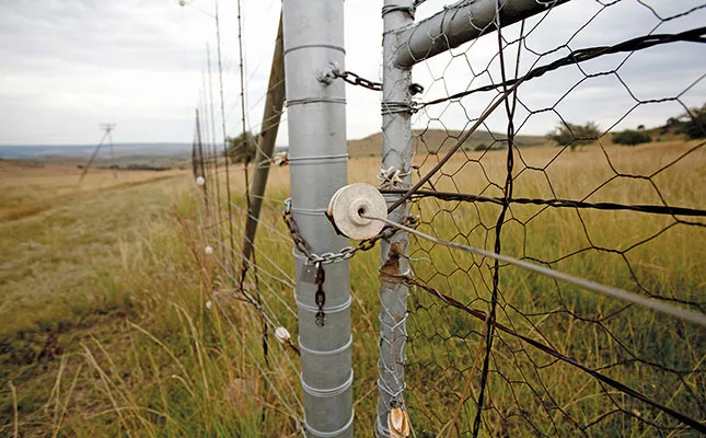 First case of Foot-and-Mouth Disease confirmed in Western Cape