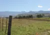 Fighting rural crime: how AfriForum empowers communities across SA