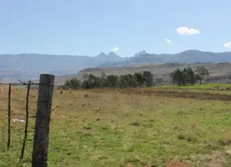 Fighting rural crime: how AfriForum empowers communities across SA