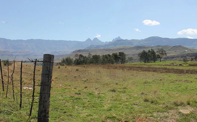 Fighting rural crime: how AfriForum empowers communities across SA