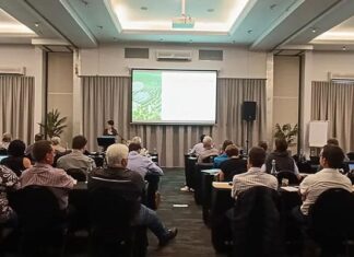 Global re-export hubs reshape international wine trade