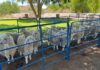 Focus on Angora fibre quality, goat health at Murraysburg Farmers’ Day