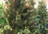 US tariffs tarnish trees and tinsel