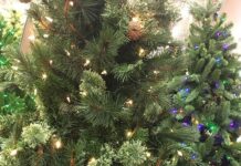 US tariffs tarnish trees and tinsel
