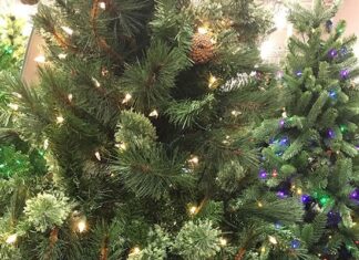 US tariffs tarnish trees and tinsel