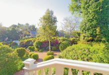 Stellenbosch in November: a seasonal gem and the perfect time to visit