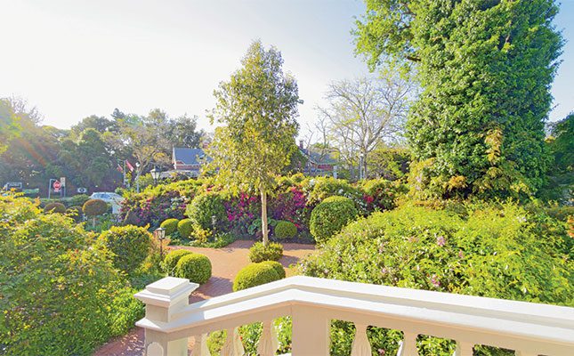 Stellenbosch in November: a seasonal gem and the perfect time to visit