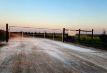 FMD outbreak confirmed in Limpopo, emergency measures rolled out