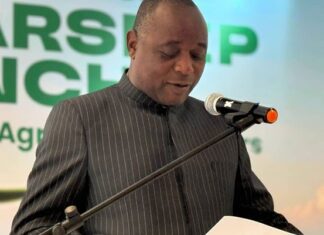 Zim farmers to benefit from government licence cuts