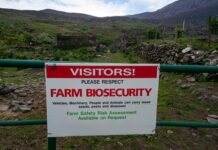 Western Cape FMD outbreak remains contained as control measures set in place