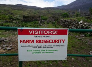 Western Cape FMD outbreak remains contained as control measures set in place