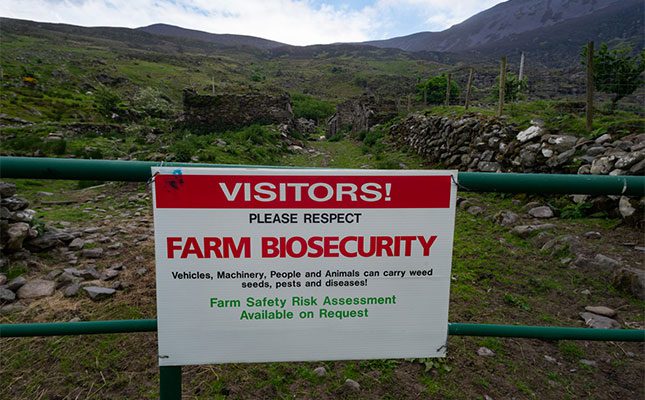 Western Cape FMD outbreak remains contained as control measures set in place