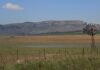2025: Looking back on a volatile year for agriculture