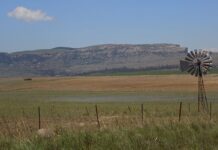 2025: Looking back on a volatile year for agriculture