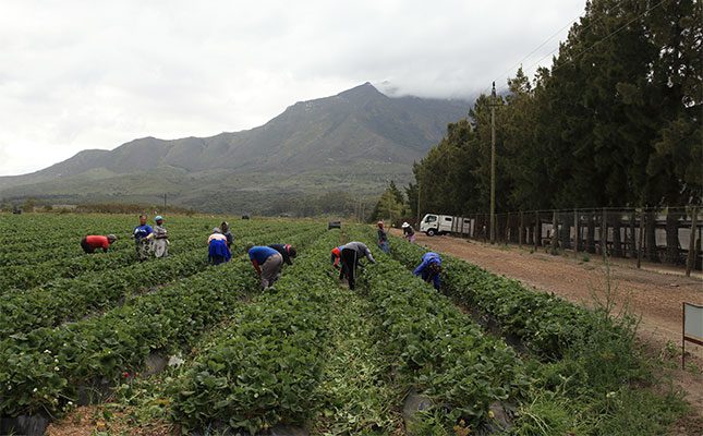 Cost-of-living crisis deepens pressure on households – and agriculture