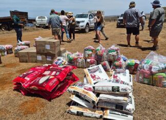 Feed donation brings hope to struggling Southern Cape farmers